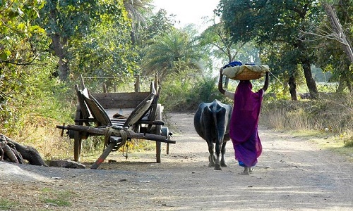 About-north-india-tour-packages